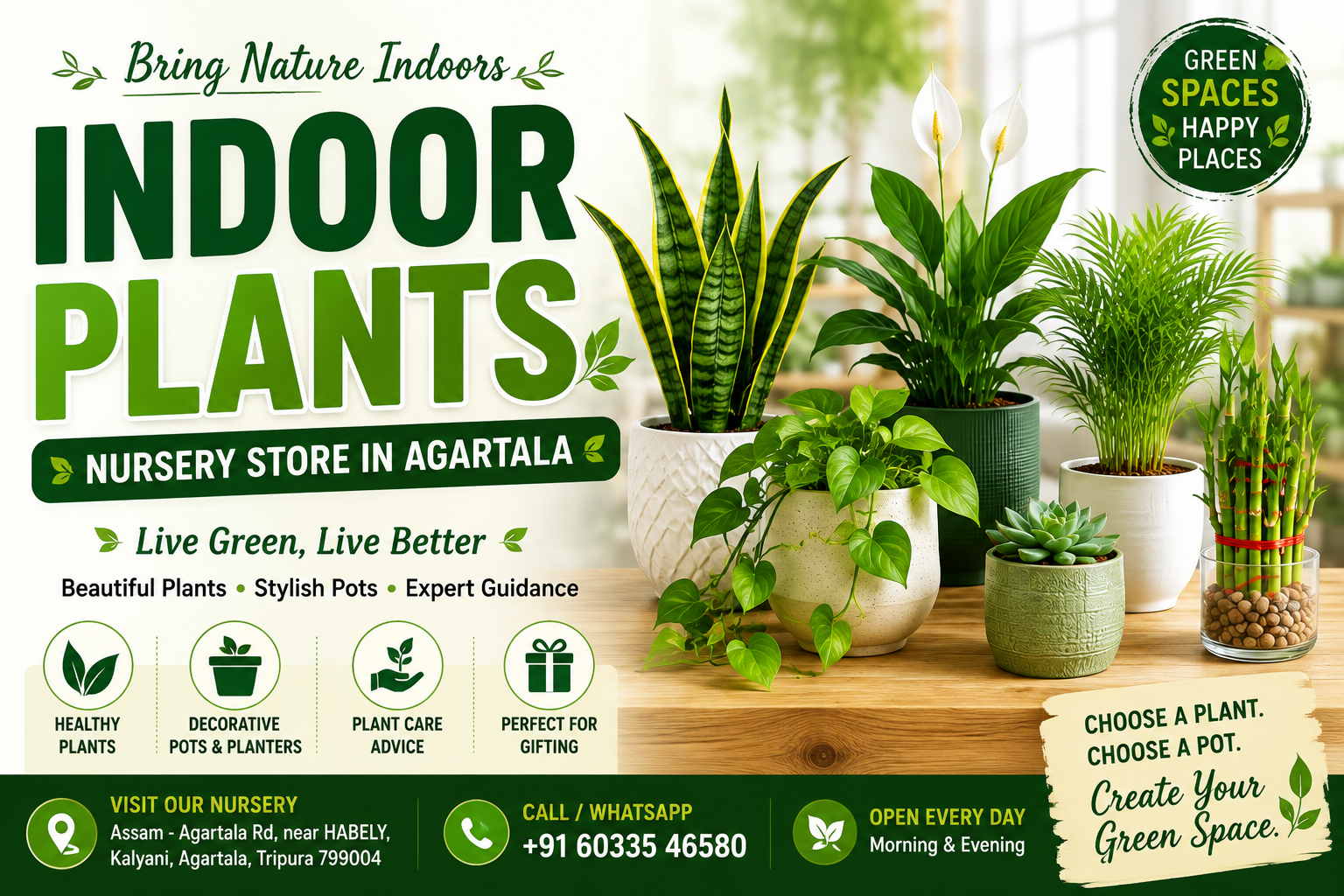 Indoor Plants in Agartala: Discover Beautiful Indoor Plants, Pots & Planters at Our Nursery Store